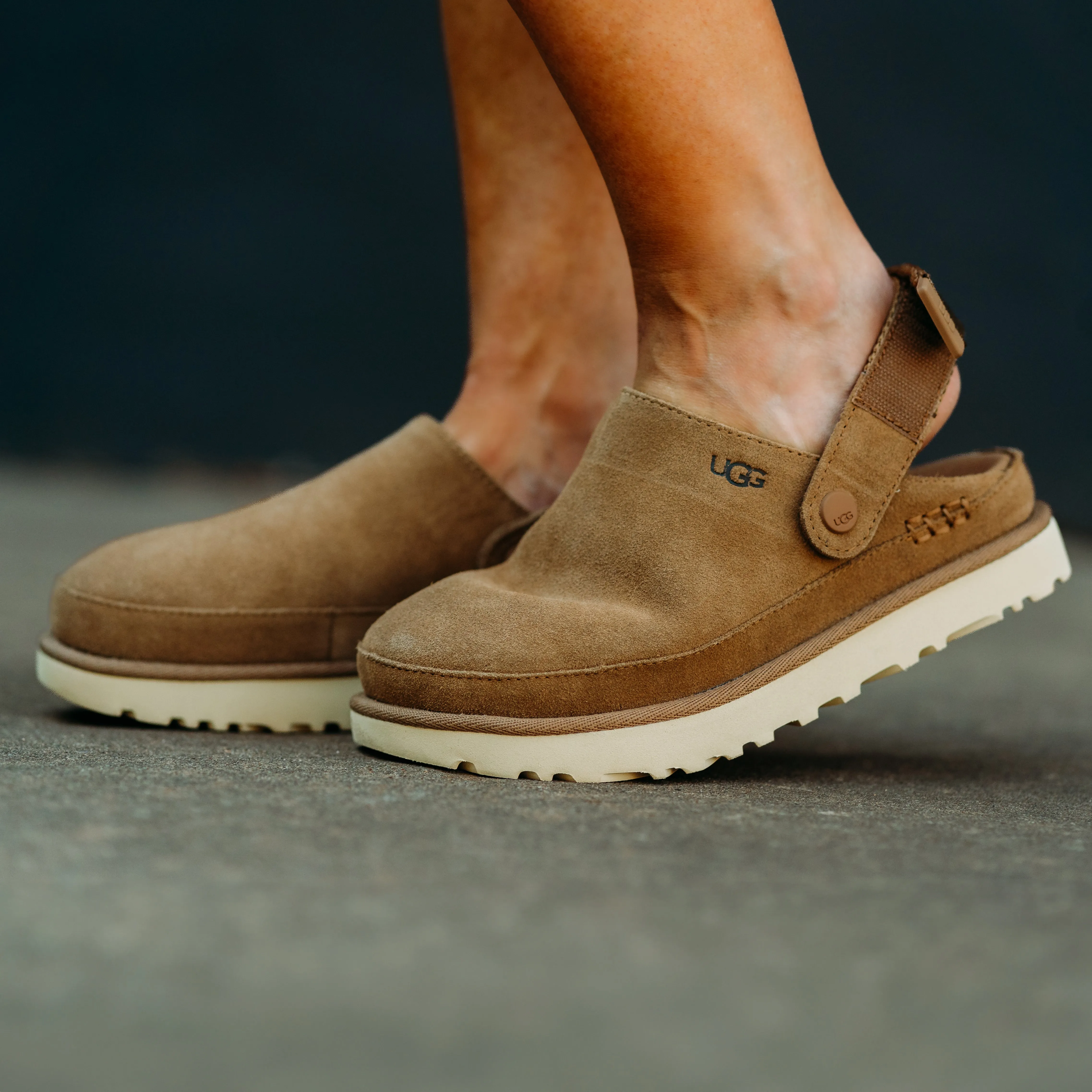 Ugg: Goldenstar Clog in Chestnut