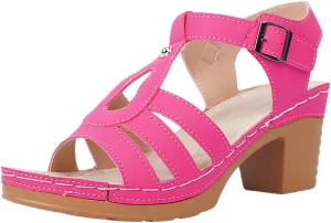 Wedge Sandals for Women Summer Open Toe Comfortable Ankle Strap Casual Beach Fashion Footwear Stylish Platform